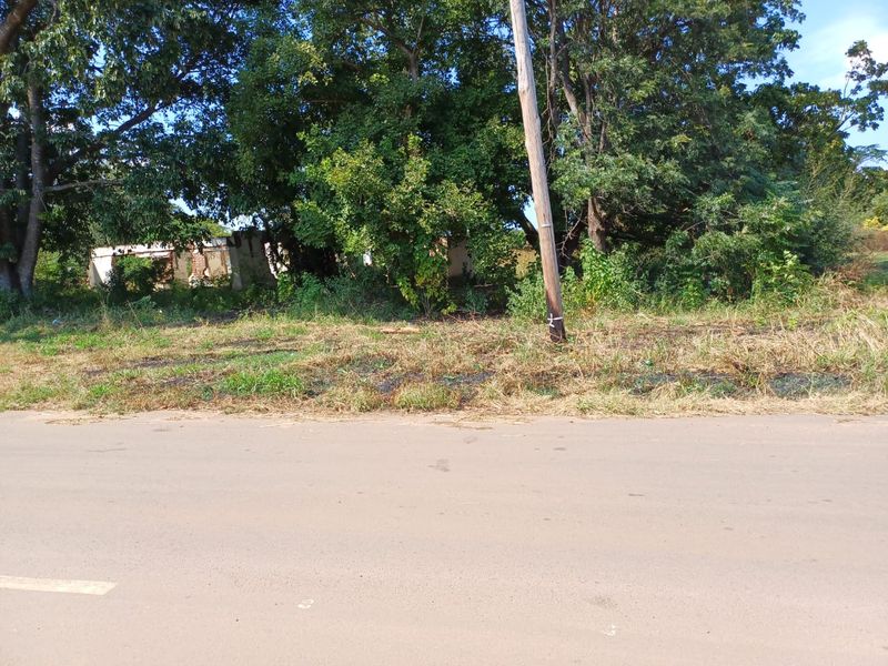 Vacant Stand For Sale in old town, Louis Trichardt - Photo 2