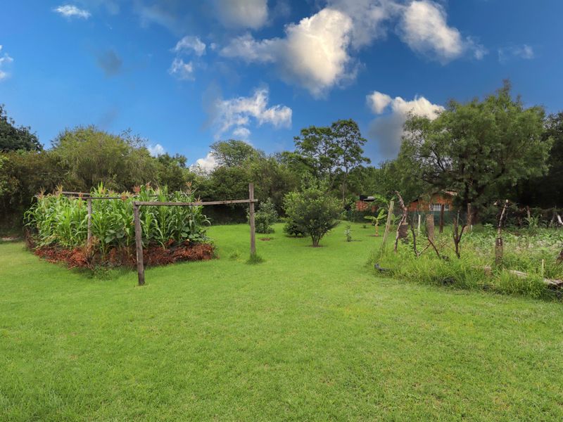A spacious, well-maintained garden area featuring a lush green lawn, established vegetable patch, and wooden trellis structure.