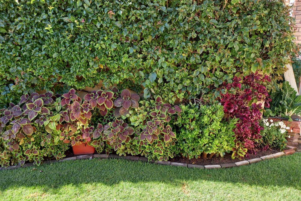 Stunning Hillside Retreat with Breathtaking Views - Photo 5