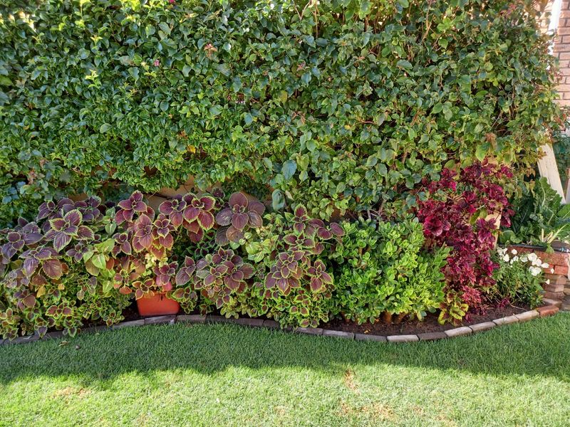 Stunning Hillside Retreat with Breathtaking Views - Photo 5