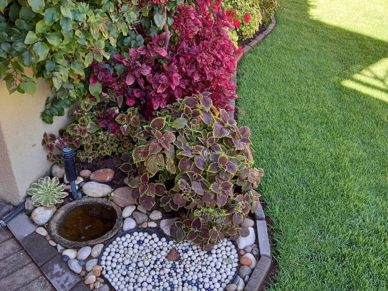 Stunning Hillside Retreat with Breathtaking Views - Photo 7