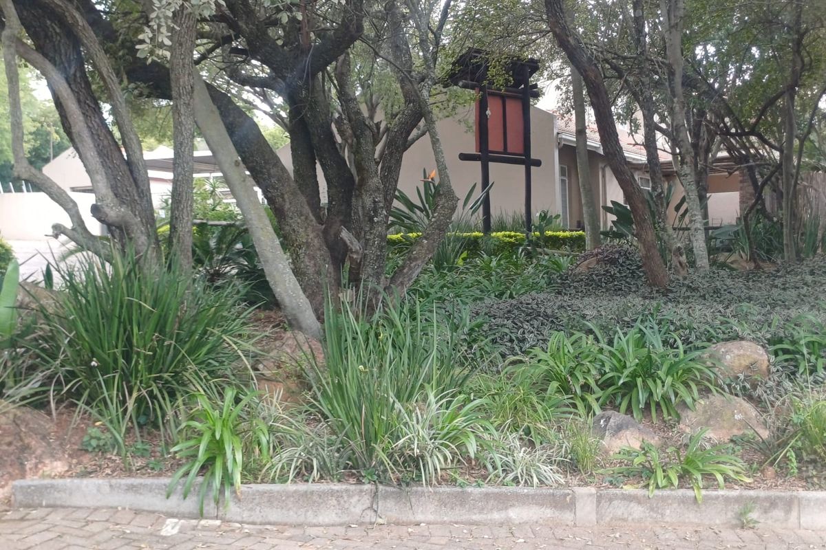 Do not buy this property if you do not want tranquility - Photo 4