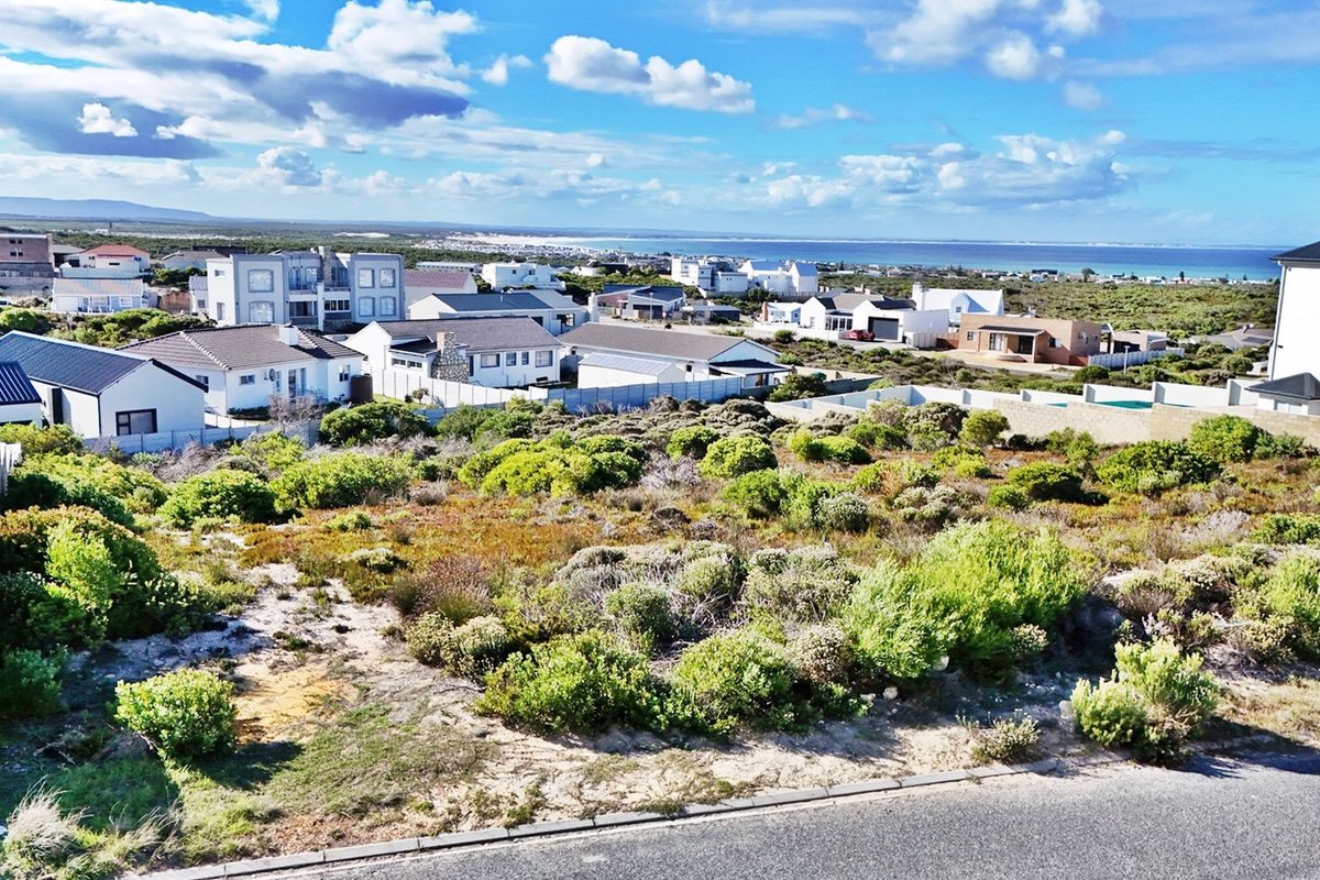 Bring Your Vision to Life on This Expansive Canvas - Photo 5