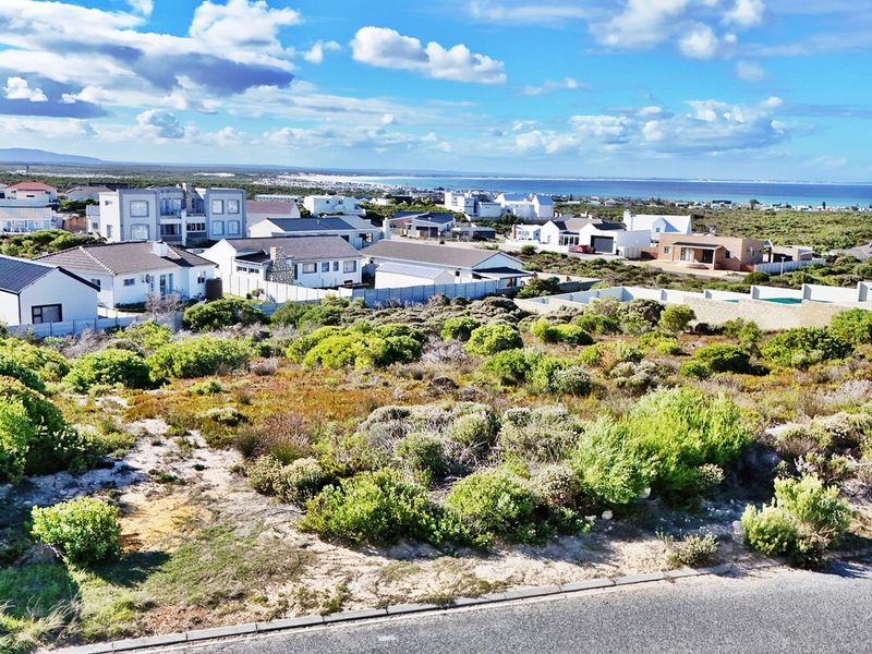 Bring Your Vision to Life on This Expansive Canvas - Photo 5