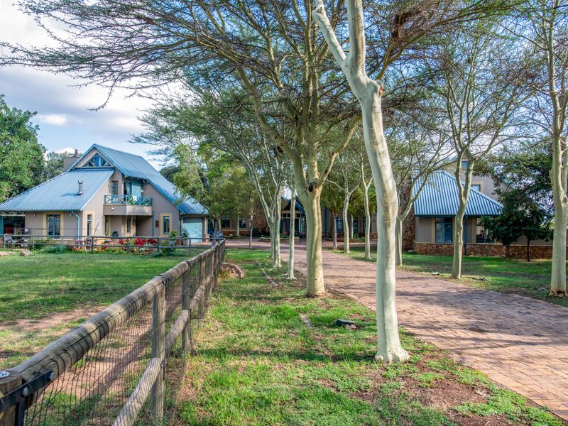 3-Bedroom Home with Two Cottages – The Lifestyle Property You’ve Been Waiting For! - Photo 5