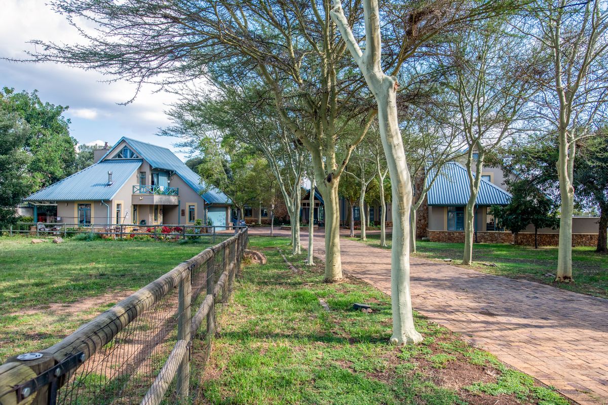 3-Bedroom Home with Two Cottages – The Lifestyle Property You’ve Been Waiting For! - Photo 5