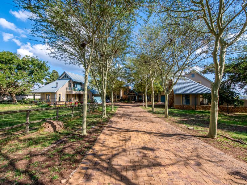 3-Bedroom Home with Two Cottages – The Lifestyle Property You’ve Been Waiting For! - Photo 4