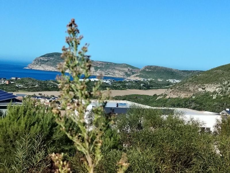 A scenic elevated view overlooking the coastal landscape, ocean, and surrounding residential area.