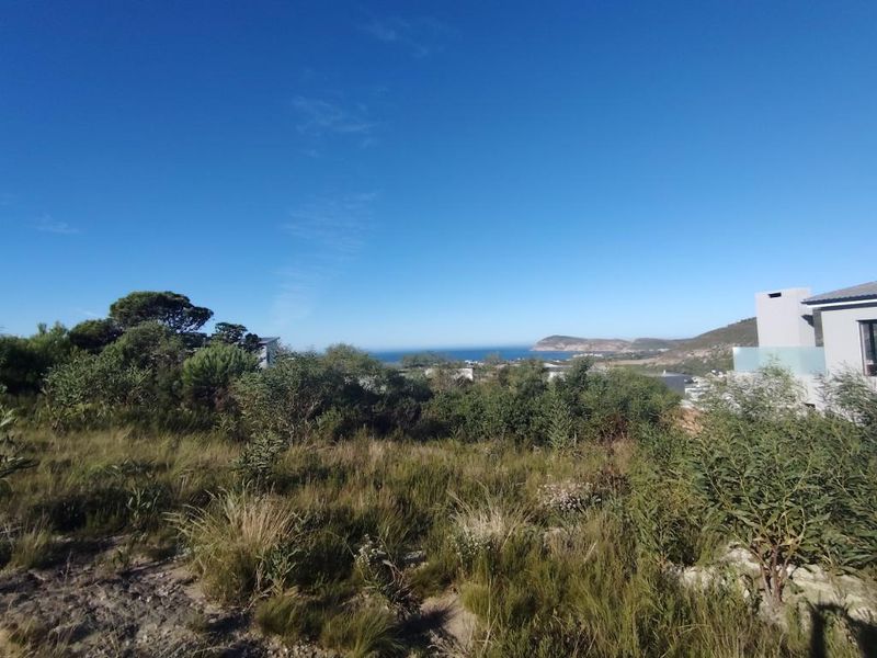A scenic view overlooking the coastal landscape and surrounding vegetation from the vacant residential property.