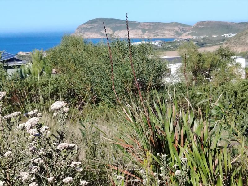 A scenic view overlooking the coastal landscape and distant hills, showcasing the natural beauty and topography of the residential land.