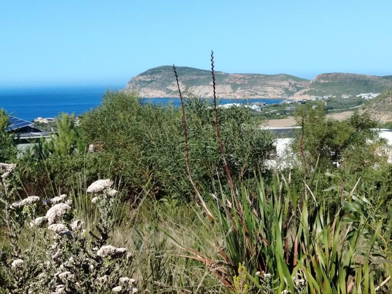 A scenic view overlooking the coastal landscape, featuring native vegetation in the foreground and distant ocean and mountain vistas.