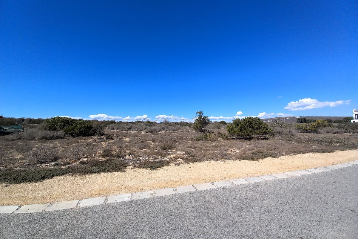 Not to be missed!!! - Photo 3