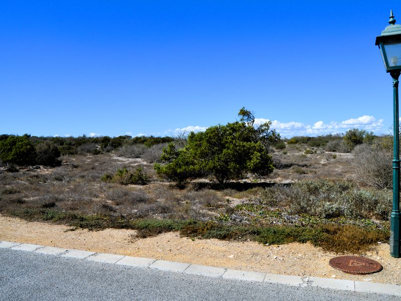 Not to be missed!!! - Photo 6