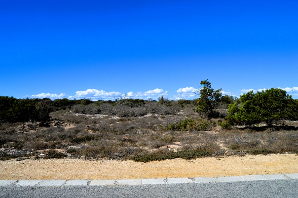 Not to be missed!!! - Photo 5