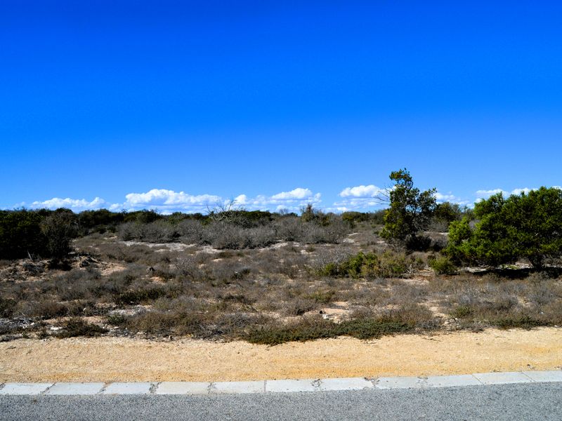 Not to be missed!!! - Photo 5