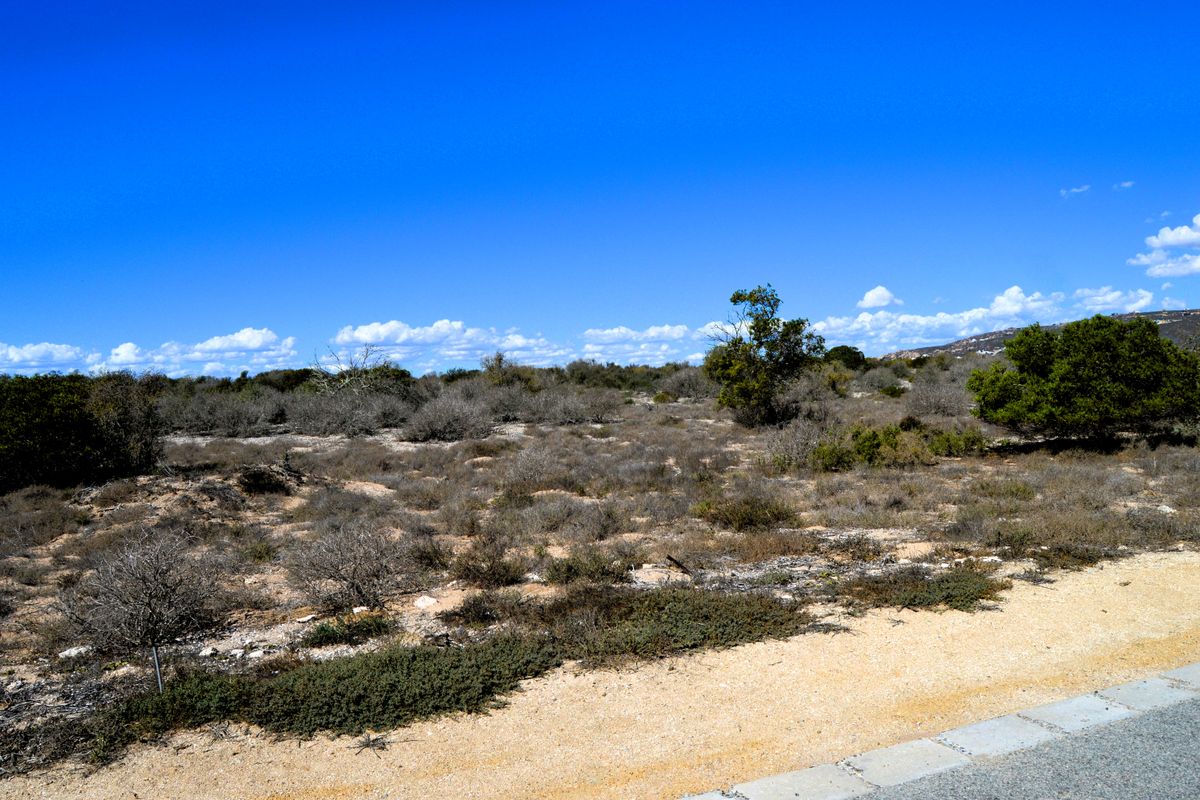 Not to be missed!!! - Photo 4