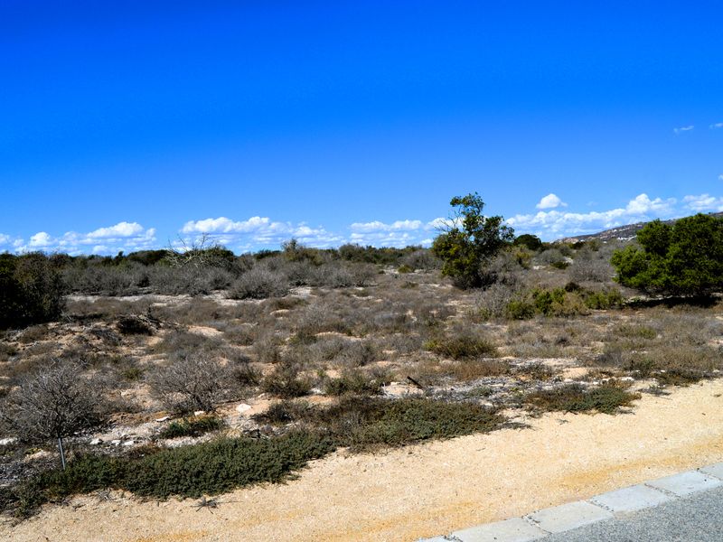 Not to be missed!!! - Photo 4