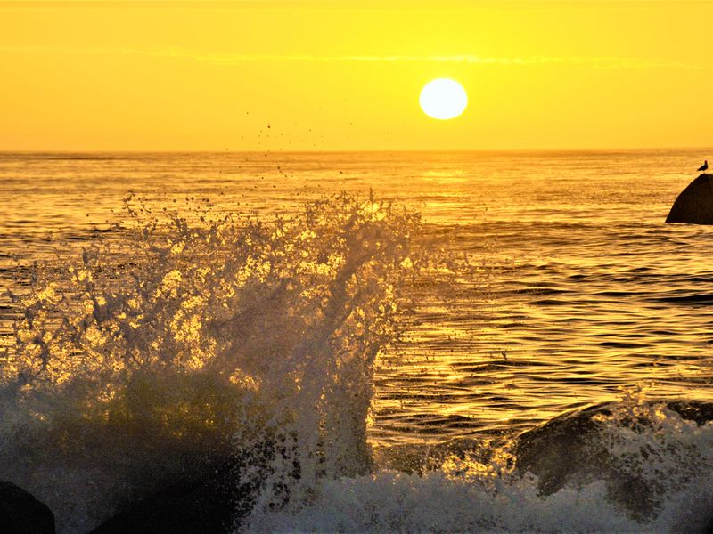 Not to be missed!!! - Photo 9