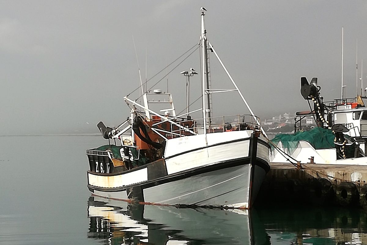 Not to be missed!!! - Photo 5