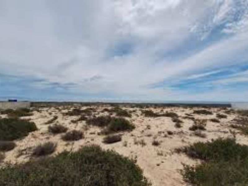 Build Your Dream Coastal Home – Just Steps from the Sea - Photo 3