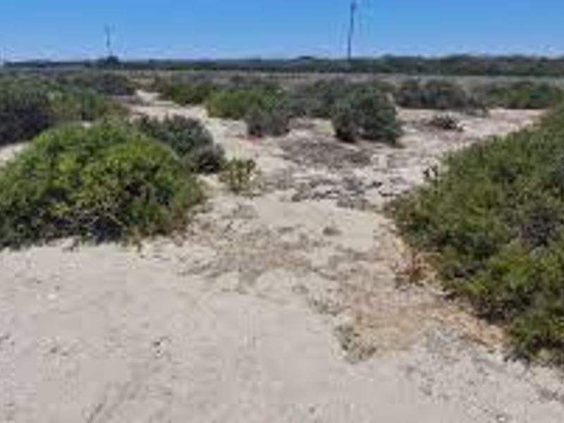 Build Your Dream Coastal Home – Just Steps from the Sea - Photo 6