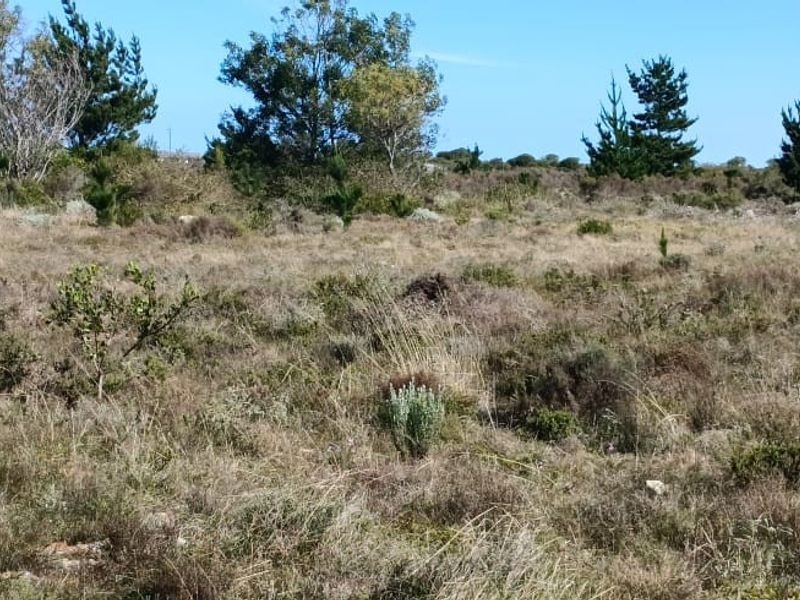 Prime A1 Development Asset High-Density Hub in Mossel Bay’s Growth Corridor - Photo 7