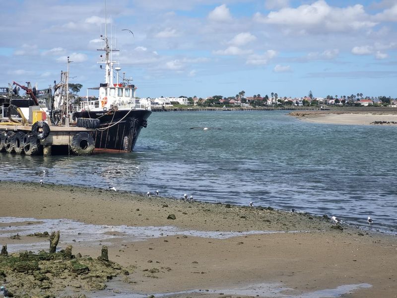 Affordable Plot on the Beautiful West Coast! 🌊 - Photo 9