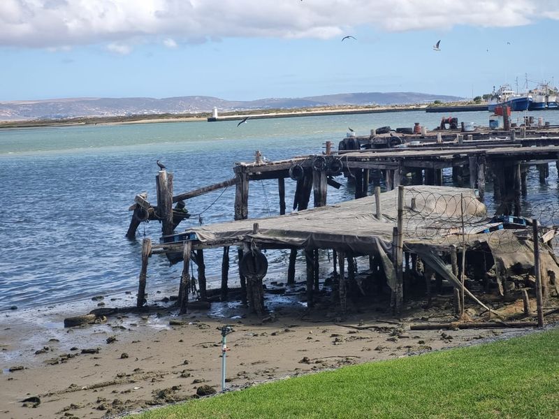 Affordable Plot on the Beautiful West Coast! 🌊 - Photo 8