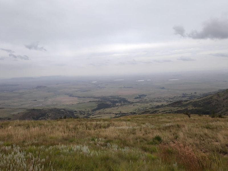 Farm for Sale in Utrecht - Photo 2