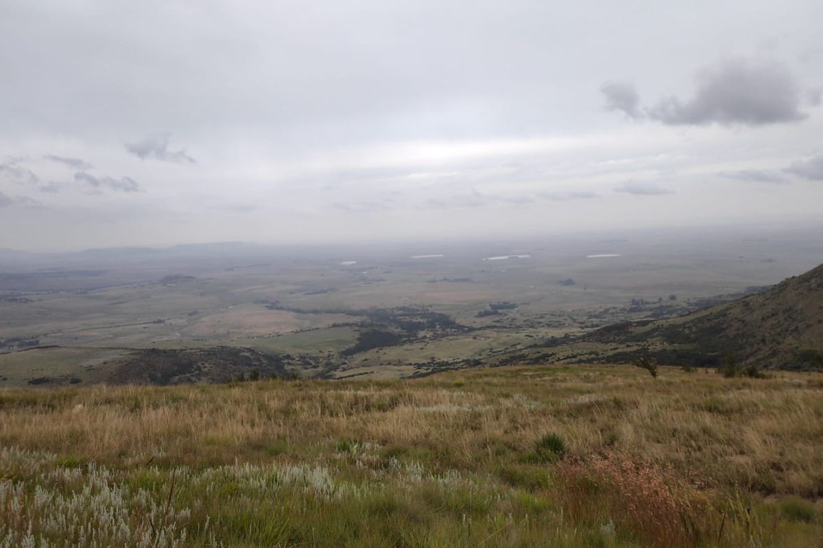 Farm for Sale in Utrecht - Photo 2