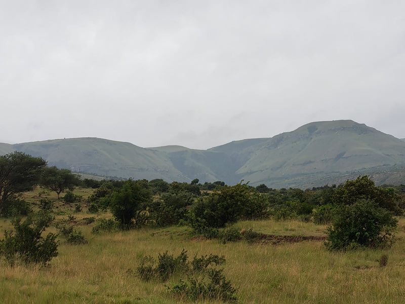 Farm for Sale in Utrecht - Photo 4