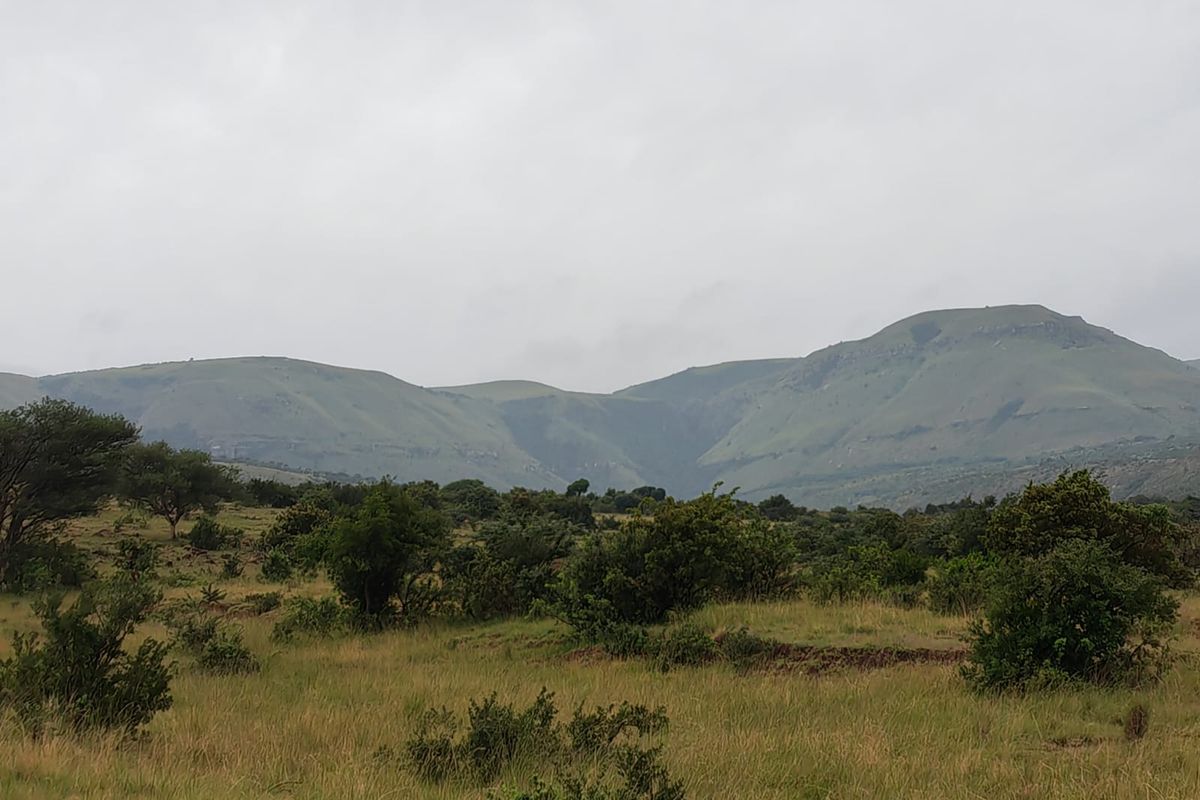 Farm for Sale in Utrecht - Photo 4