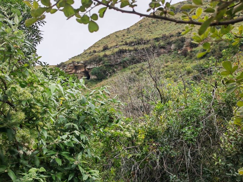 Farm for Sale in Utrecht - Photo 10