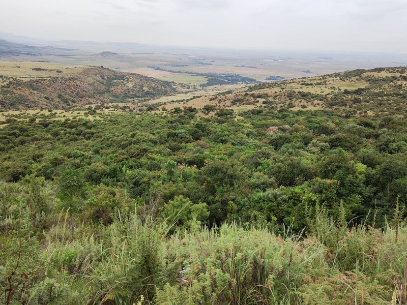 Farm for Sale in Utrecht - Photo 7