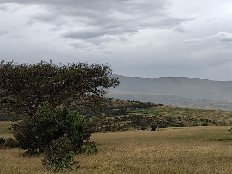 Farm for Sale in Utrecht - Photo 3