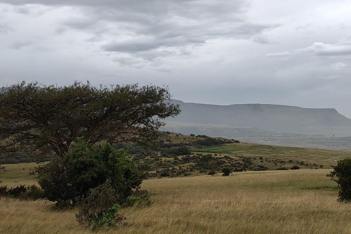 Farm for Sale in Utrecht - Photo 3