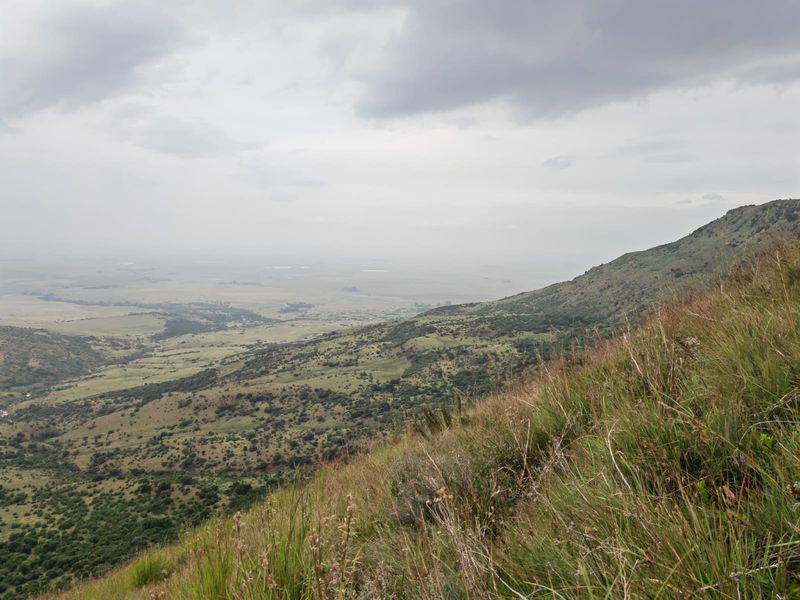 Farm for Sale in Utrecht - Photo 5