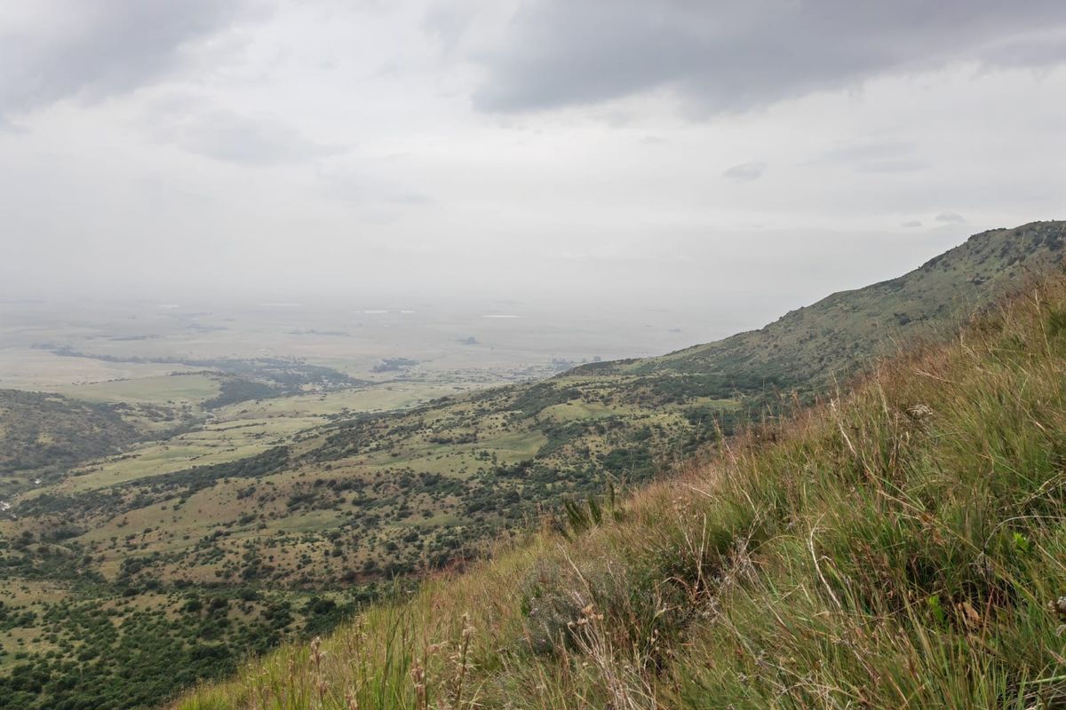 Farm for Sale in Utrecht - Photo 5