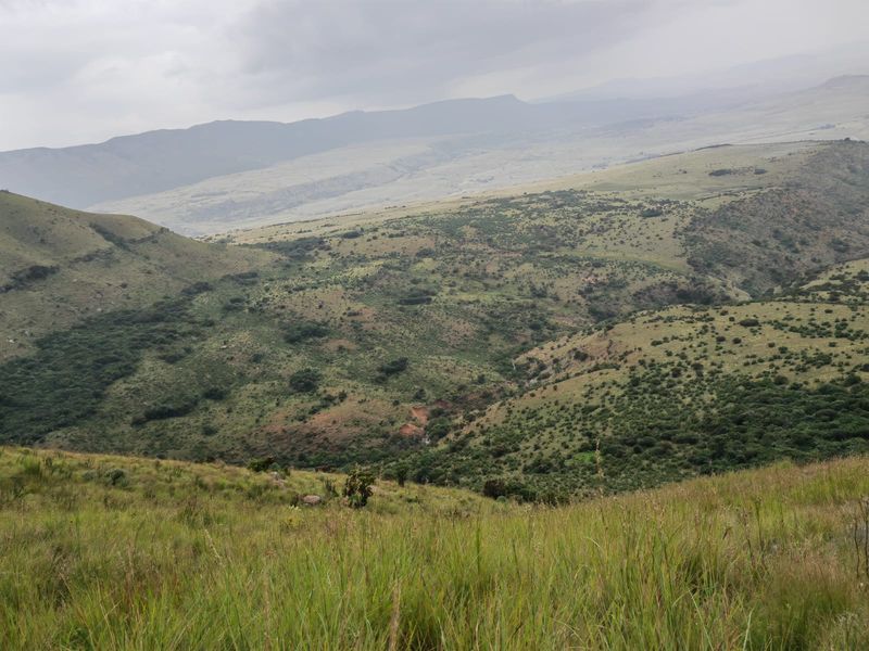 Farm for Sale in Utrecht - Photo 6