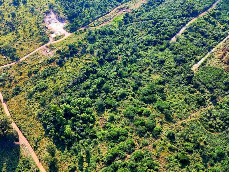 4 HECTARE SMALLHOLDING WITH 2 HOMES – GROWTH ZONE NEAR Bushvalley, Louis Trichardt. - Photo 4