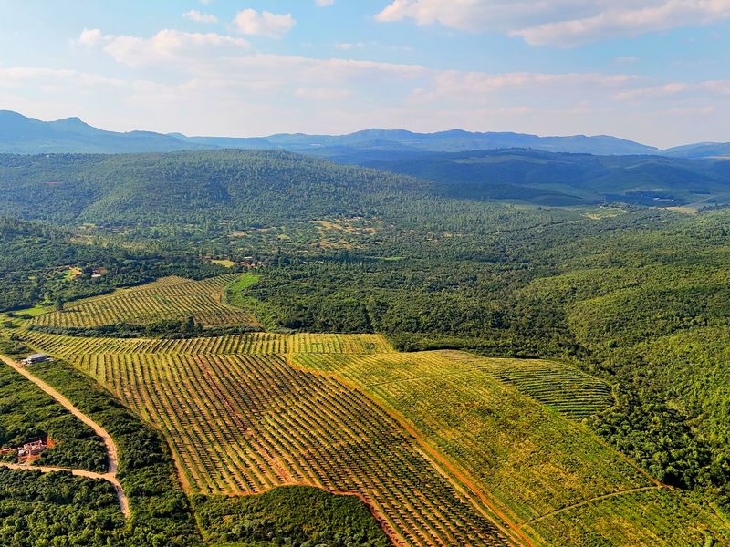 4 HECTARE SMALLHOLDING WITH 2 HOMES – GROWTH ZONE NEAR Bushvalley, Louis Trichardt. - Photo 6