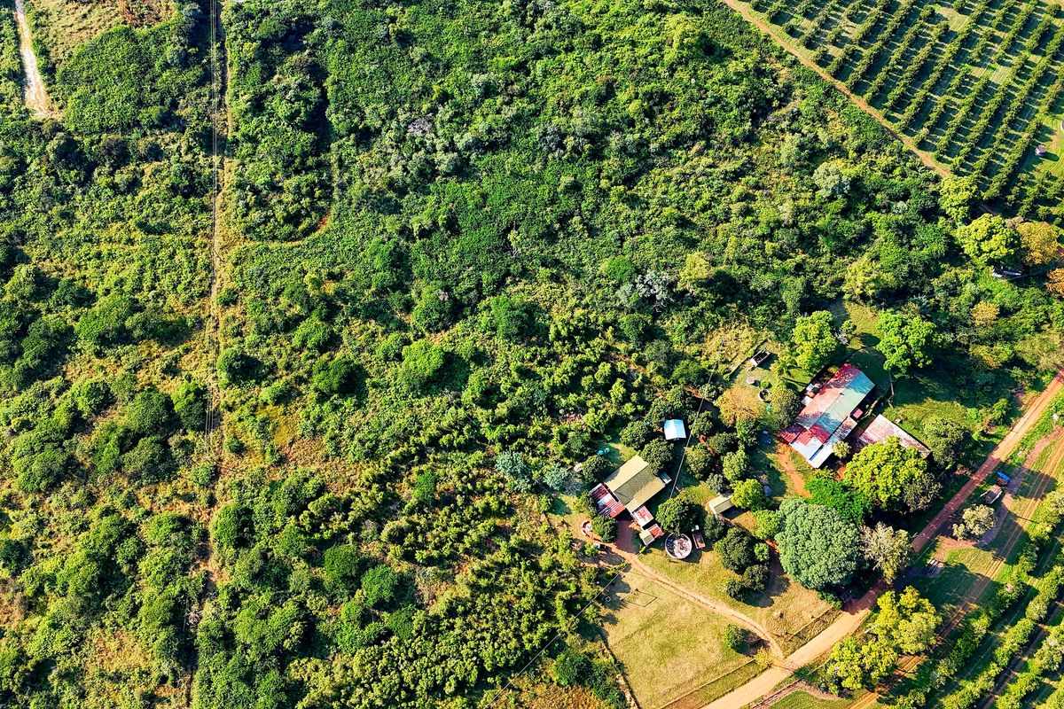 4 HECTARE SMALLHOLDING WITH 2 HOMES – GROWTH ZONE NEAR Bushvalley, Louis Trichardt. - Photo 2