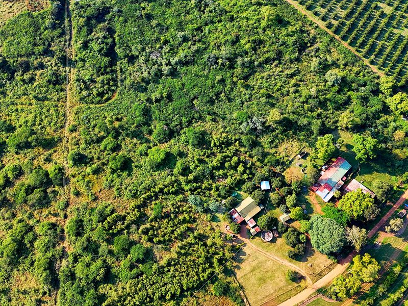 4 HECTARE SMALLHOLDING WITH 2 HOMES – GROWTH ZONE NEAR Bushvalley, Louis Trichardt. - Photo 2