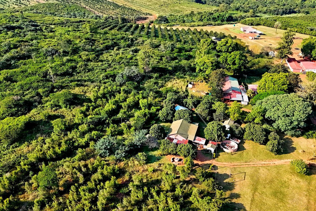 6 HECTARE VACANT DEVELOPMENT LAND – PRIME LOCATION NEAR BUSHVALLEY, SOUTH AFRICA - Photo 3