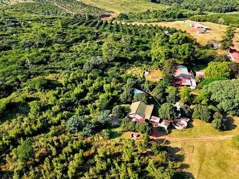 6 HECTARE VACANT DEVELOPMENT LAND – PRIME LOCATION NEAR BUSHVALLEY, SOUTH AFRICA - Photo 3