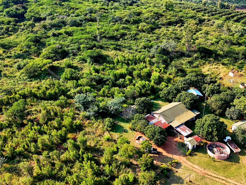 6 HECTARE VACANT DEVELOPMENT LAND – PRIME LOCATION NEAR BUSHVALLEY, SOUTH AFRICA - Photo 8