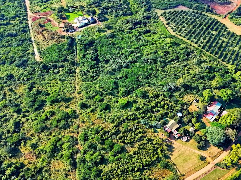 6 HECTARE VACANT DEVELOPMENT LAND – PRIME LOCATION NEAR BUSHVALLEY, SOUTH AFRICA - Photo 9