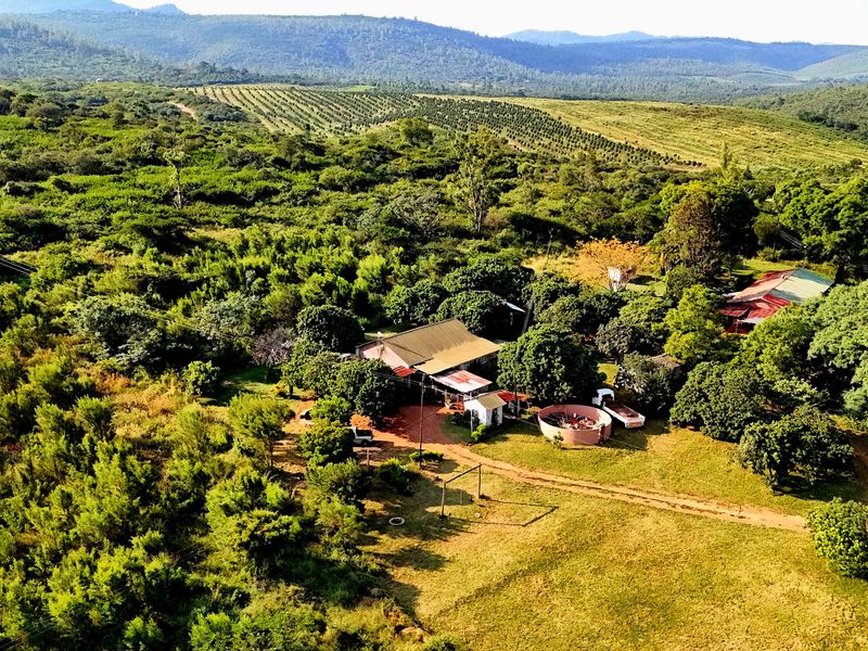 6 HECTARE VACANT DEVELOPMENT LAND – PRIME LOCATION NEAR BUSHVALLEY, SOUTH AFRICA - Photo 6