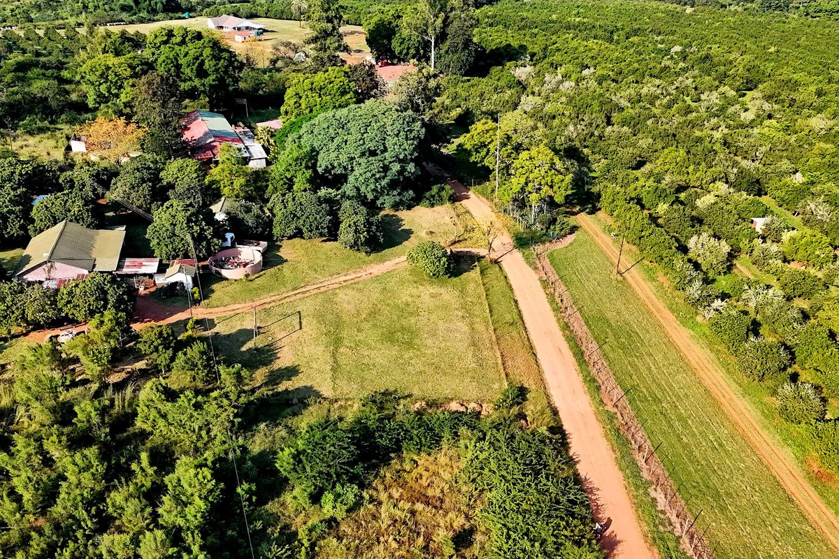 6 HECTARE VACANT DEVELOPMENT LAND – PRIME LOCATION NEAR BUSHVALLEY, SOUTH AFRICA - Photo 4