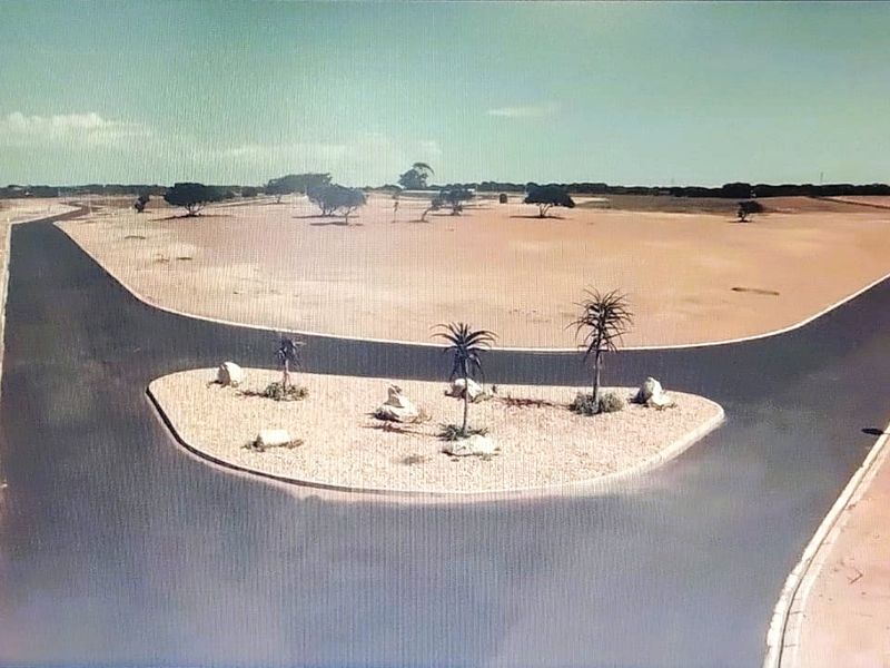 Your new chapter starts here  -  Where Nature Meets Possibility - Photo 2